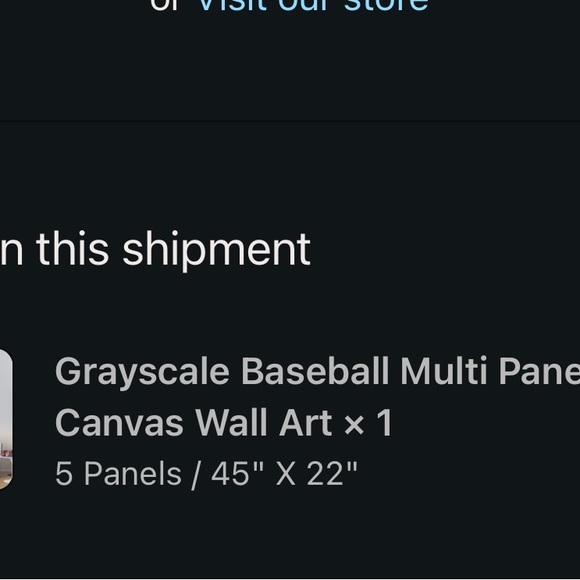 5 panels 45 x 22 Canvas Baseball Picture. Paid $150 on Elephant Stock. - Picture 2 of 2